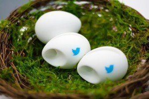 Twitter signed eggs