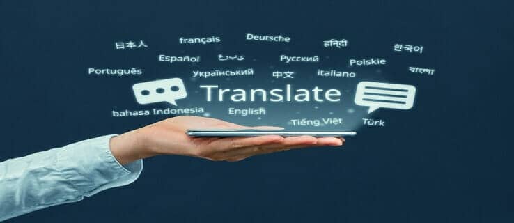 Translation app role