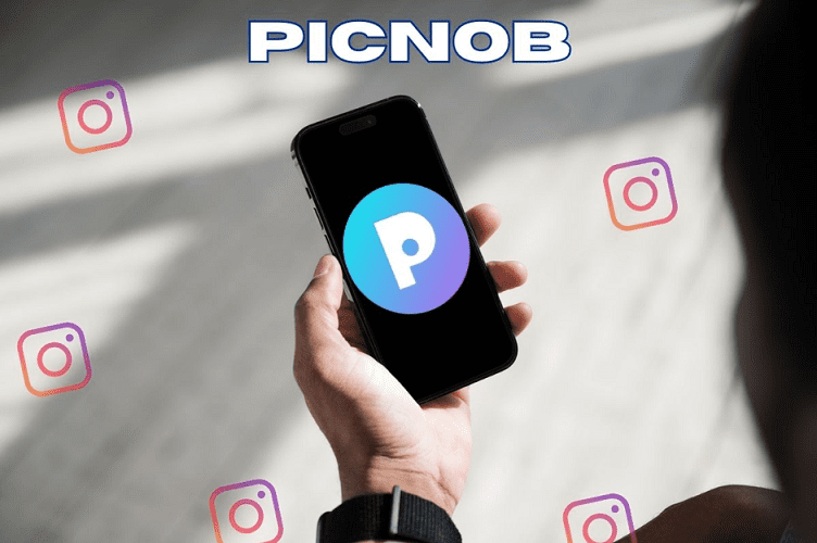 picnob instagram viewer and downloader